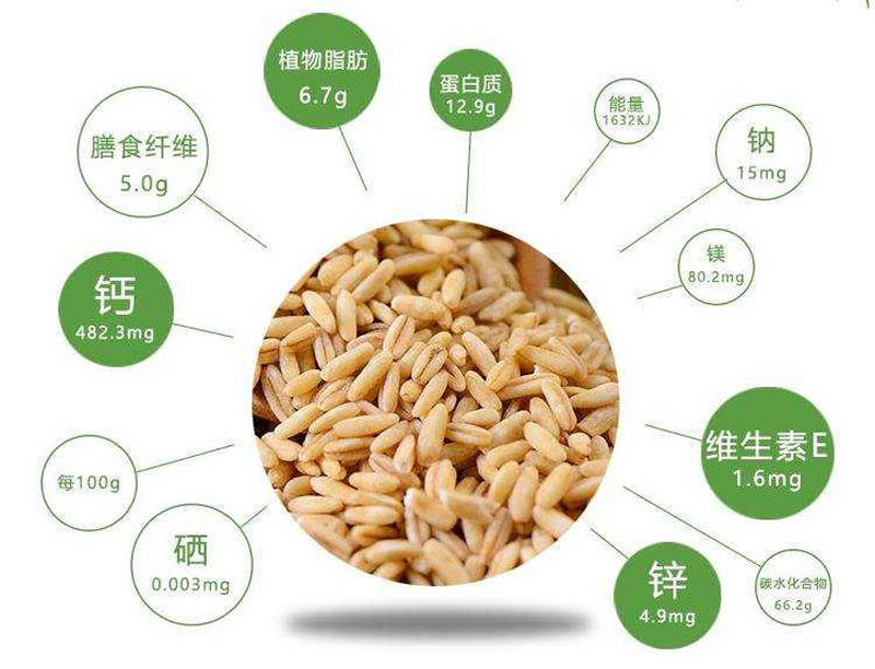 燕麥蛋白質