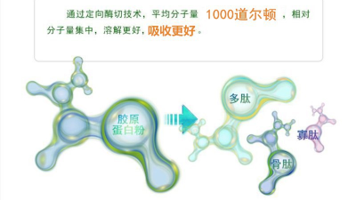木瓜蛋白酶及堿性蛋白酶，哪一款適合骨膠原蛋白肽的生產(chǎn)